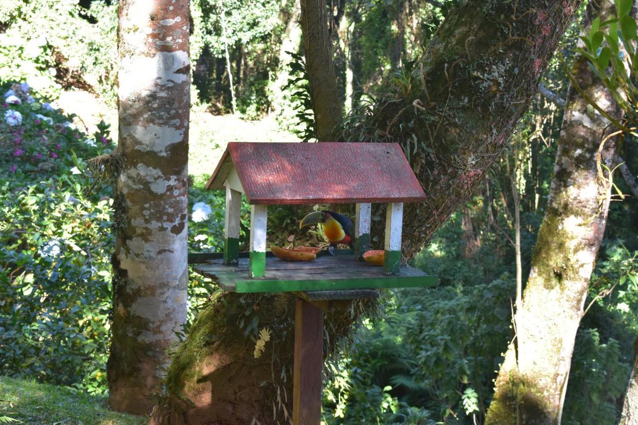 Pousada Amanita Monte Verde Monte Verde  Buitenkant foto